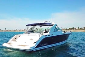 Donzi 40' (Up to 12 People) - Captain & Fuel Included