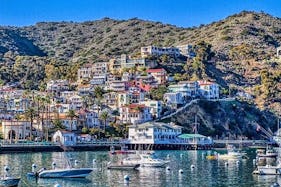Catalina Island Adventure on 48' Luxury Motor Yacht!