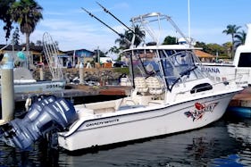 29 ft Grady white with tuna tower 